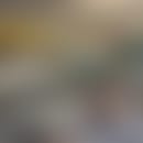 Mjandel's blurred avatar