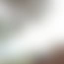 Péter's blurred avatar