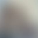 L'avatar sfocato di Numa