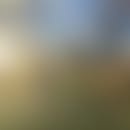 Avatar desfocado de Jean-michel
