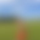 Andy's blurred avatar