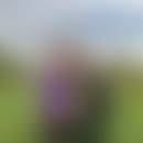 Brandon's blurred avatar