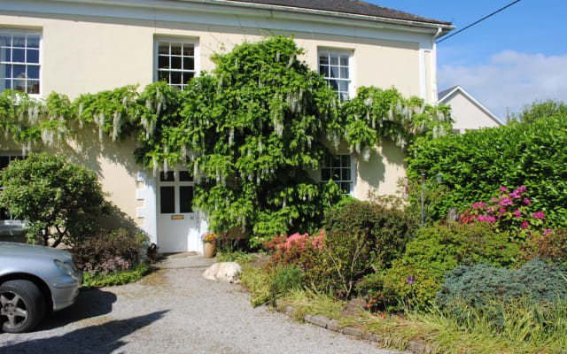 Elmfield - A small comfortable single room at £80