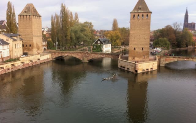 Chambre spacieuse dans un grand appartement au centre de Strasbourg - Photo 8