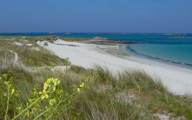 quarto em casa para landéda (Bretanha-Finistère) pés na água - Foto 6