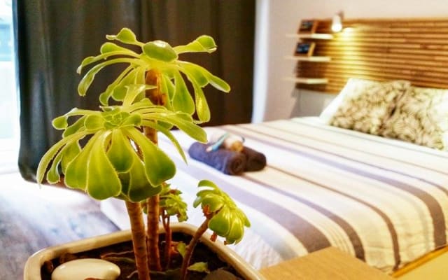 NOOSA BEACH STUDIO   SUNRISE BEACH. PRIVATE TROPICAL PARADISE CLOSE TO 