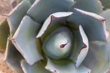 Mid-Century Room With Private Bath & Pool.  PS City ID #470 - Picture 22