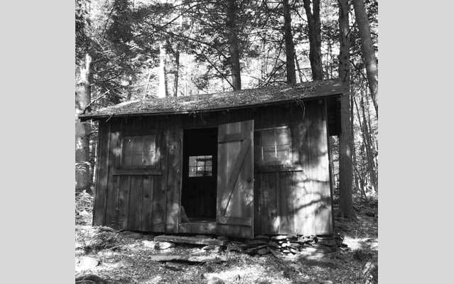 Smokey Belles Catskills Petite Cabine