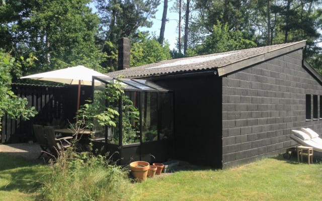 Bed & Breakfast in einem Künstleratelier in den Wäldern