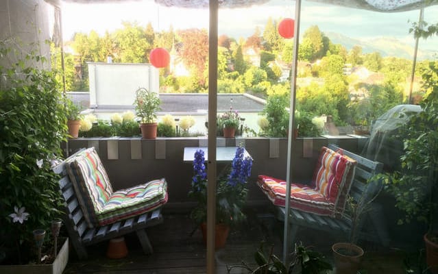Über den Dächern von Luzern - Foto 10