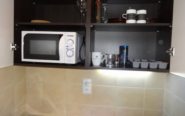 Cozy hideaway by a Prague gay nightlife expert. Next to Palladium Mall - Picture 19