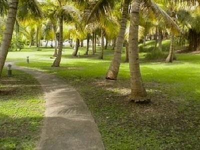 Férias à beira da lagoa com os pés na água