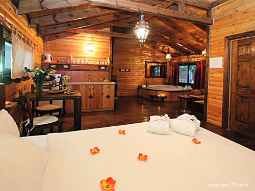Wooden cabins and suites in a forest setting