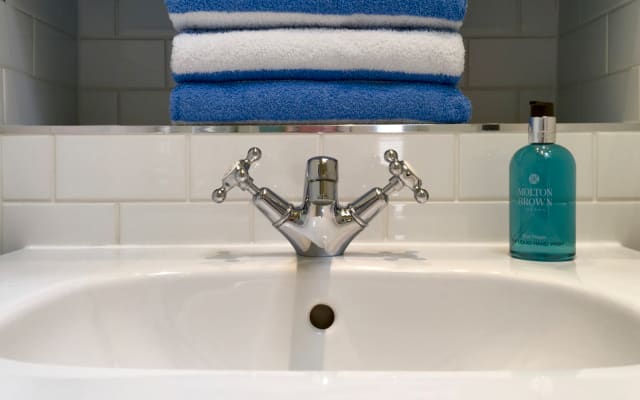 Oasis of Calm in Vibrant Seaside Brighton and Hove ensuite Bathroom - Picture 13