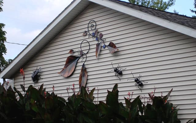 Clothing Optional in Clintonville  - Picture 18