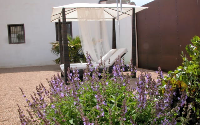Une oasis dans les Monegros