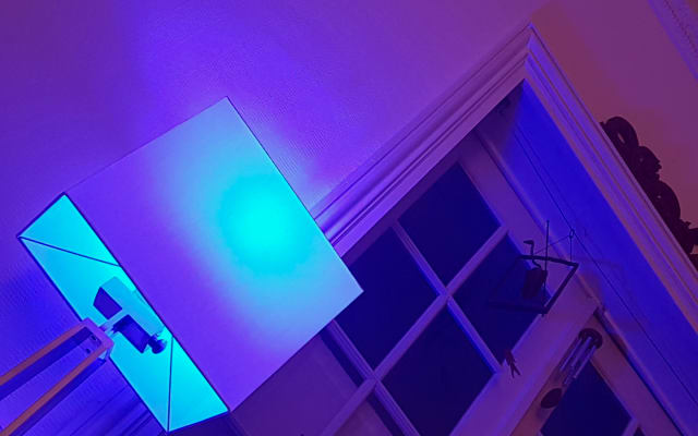 Zimmer