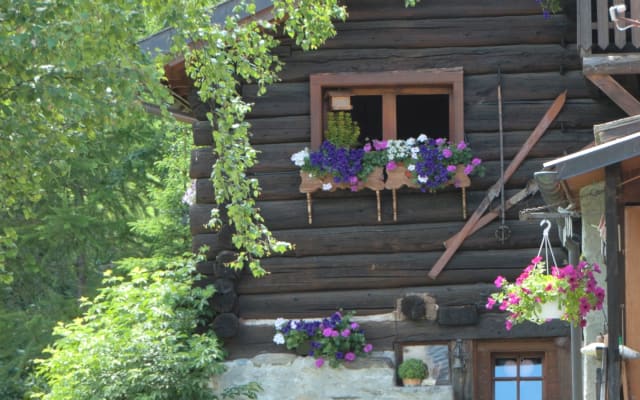 CHALET DEI FIORI - room & apartment - Switzerland, San Gottardo region