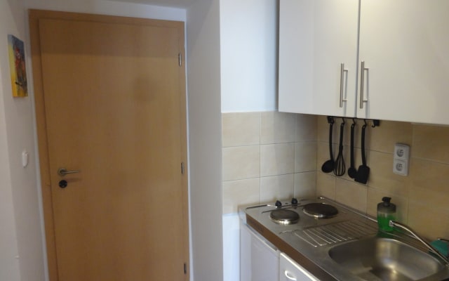 Cozy hideaway by a Prague gay nightlife expert. Next to Palladium Mall - Picture 18