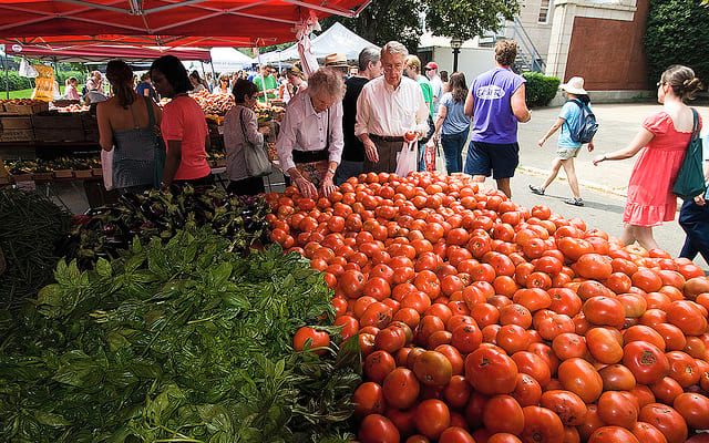 Luxury Spacious Master Suite RoofDeck in Dupont - Picture 10