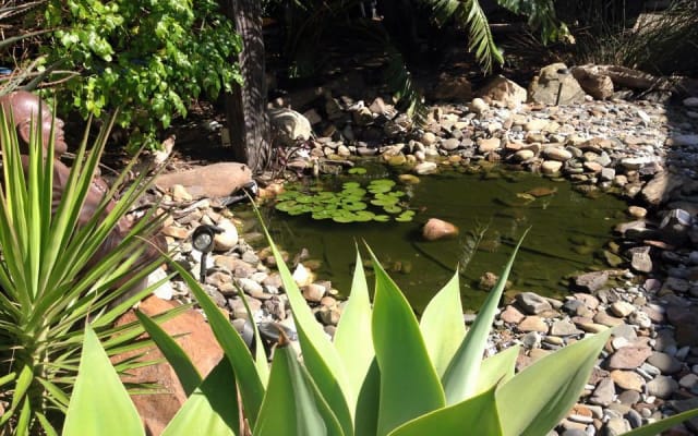 Ocean Blue Guest House - Picture 2