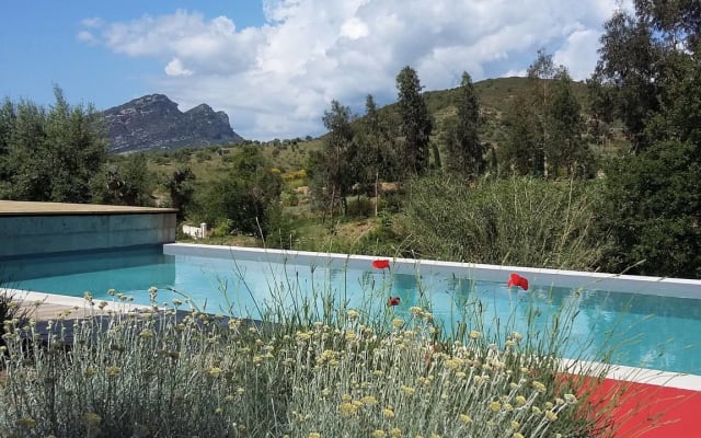 Piscine et jacuzzi - Photo 15