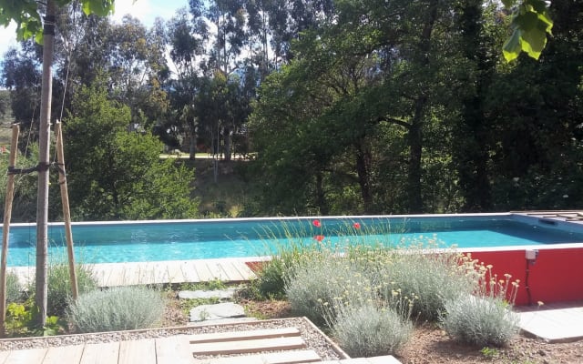 Piscine et jacuzzi - Photo 17