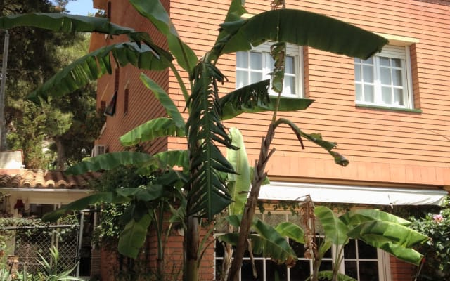 BLUE DOUBLE - Picture 13