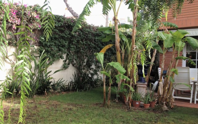 BLUE DOUBLE - Picture 17