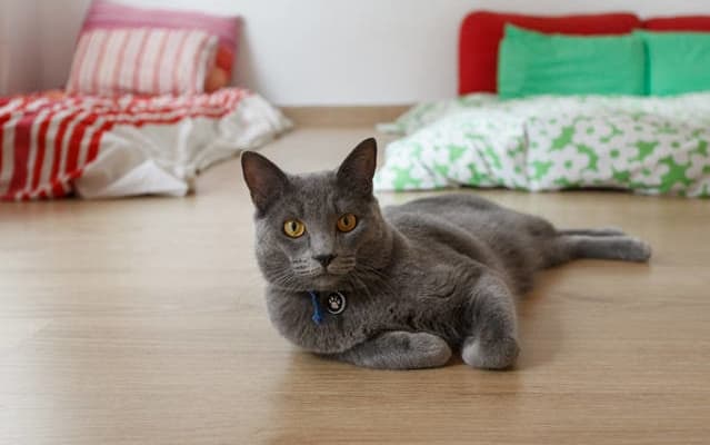   YOGA ROOM ONLY FOR NUDISTS NEAR PL ESPAÑA AND EST SANTS - Picture 7