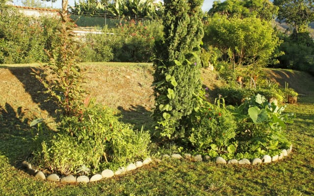 Rochas Garden Refuge - Appartement partagé T2