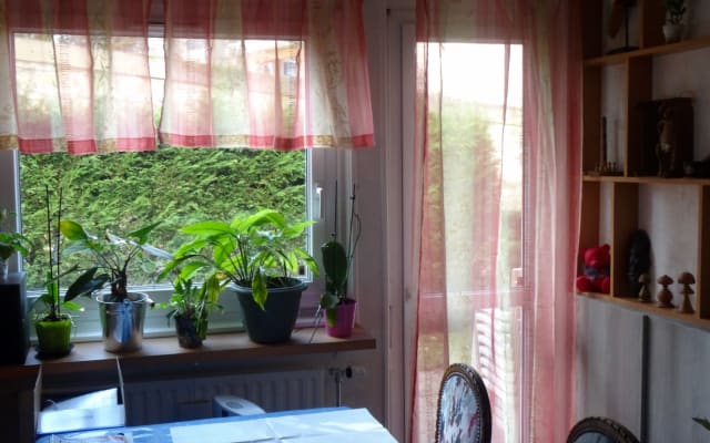 Rez-de-jardin avec terrasse en gazon
