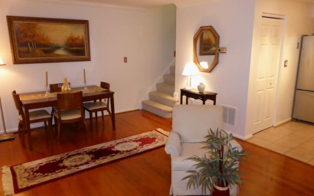 Master Room in Arlington, walk to Metro - Picture 9