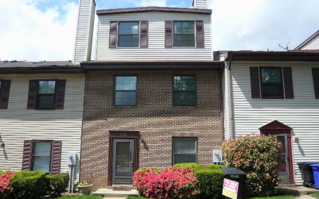 Master Room in Arlington, walk to Metro - Picture 10