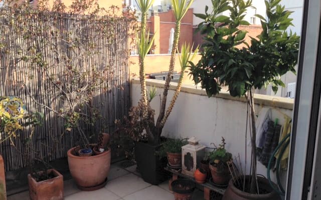 Un endroit idéal pour séjourner à Madrid