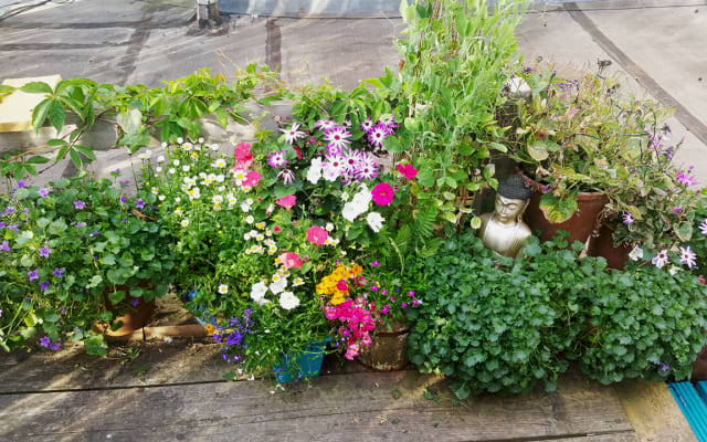 Glückliches Zuhause - Foto 17
