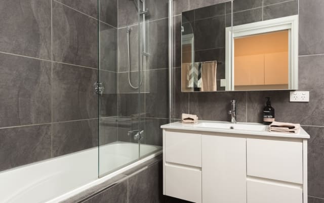 Spacious, Modern City Apartment across from City Park w Parking - Picture 7