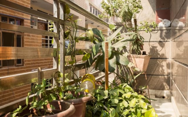 Verdadera estancia en familia - Foto 13