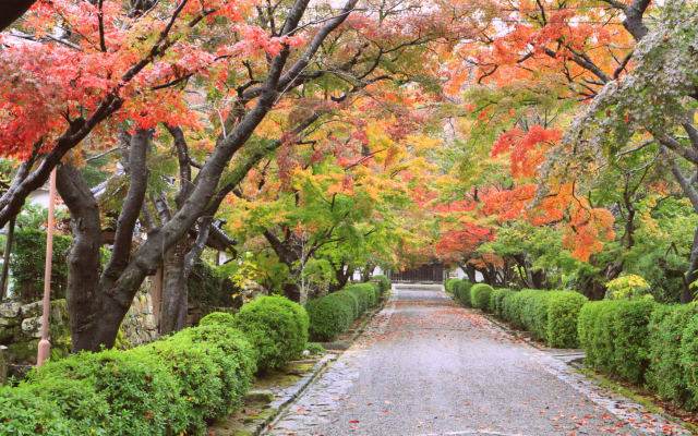 Ein ruhiger Rückzugsort im alten Japan - Foto 17