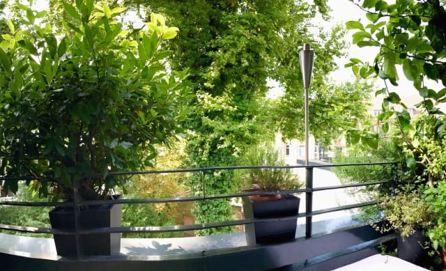 Stylish Private Room - quiet and centrally located in trendy D-Bilk - Picture 22