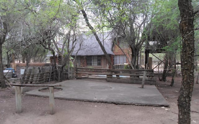 Zebra Haven
