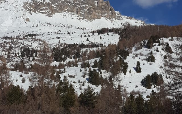 Mountain elves - Picture 8