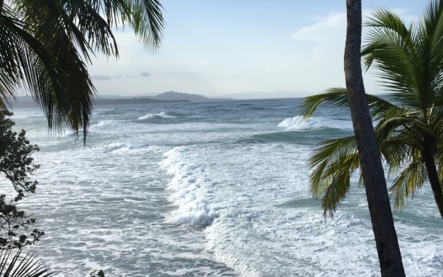 Casa Mango: foresta pluviale a prezzi accessibili e casa sulla spiaggia vicino ai servizi - Foto 3