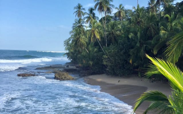 Casa Mango: foresta pluviale a prezzi accessibili e casa sulla spiaggia vicino ai servizi - Foto 9