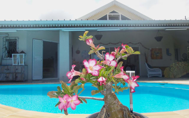 Superbe maison vue/mer, piscine privée, grande varangue St Leu