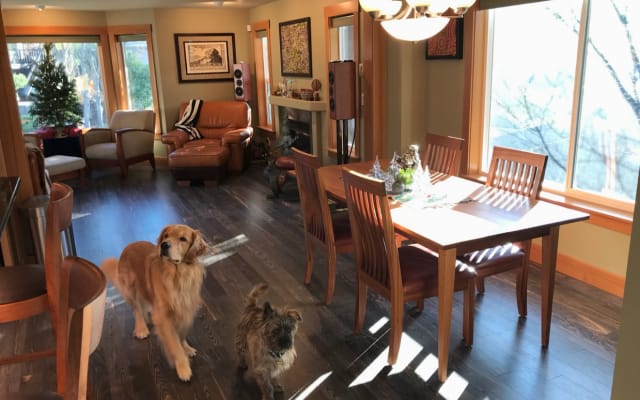 Fur Den : Chambre de luxe pour les amoureux des chiens (West Seattle) - Photo 19
