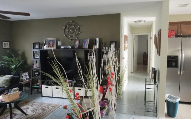 Privates Schlafzimmer in der Nähe von Ybor und Raymond James Stadion - Foto 6