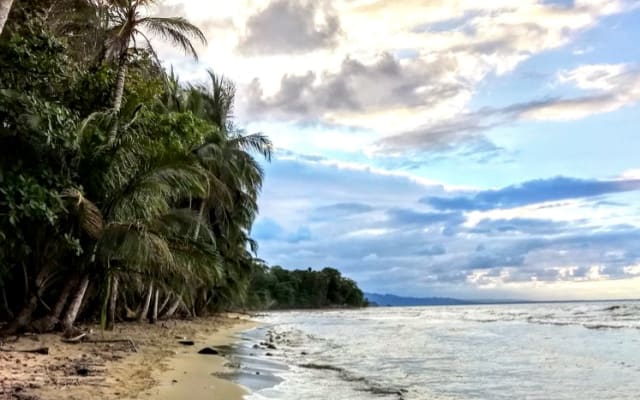 Casa Mango: foresta pluviale a prezzi accessibili e casa sulla spiaggia vicino ai servizi - Foto 15