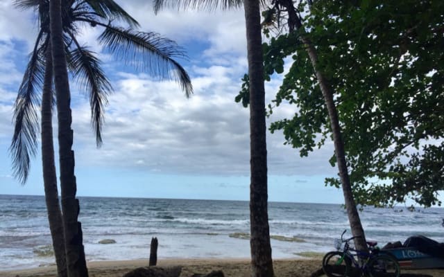 Casa Mango: foresta pluviale a prezzi accessibili e casa sulla spiaggia vicino ai servizi - Foto 18