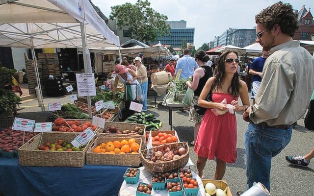 Heart of Dupont Huge Private Suite Bed/Bath/Deck - Picture 20